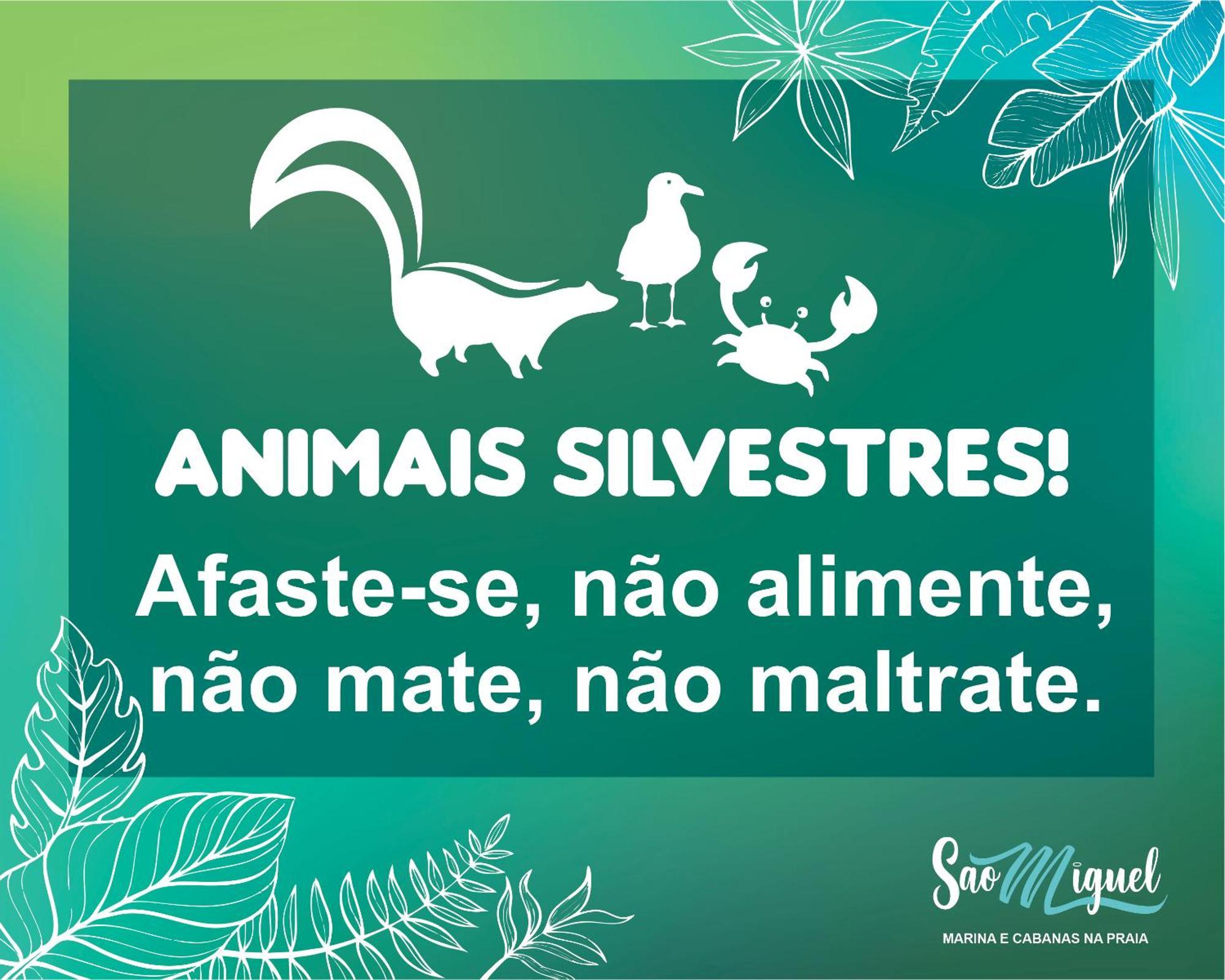 Cabanas Sao Miguel Penha  Zewnętrze zdjęcie
